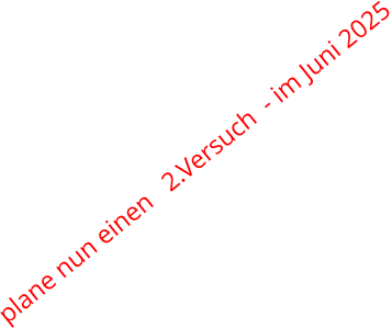 plane nun einen   2.Versuch  - im Juni 2025